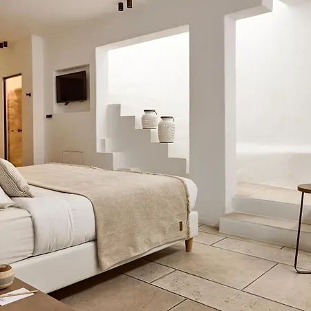 阿多尼斯酒店 4* Mykonos Town