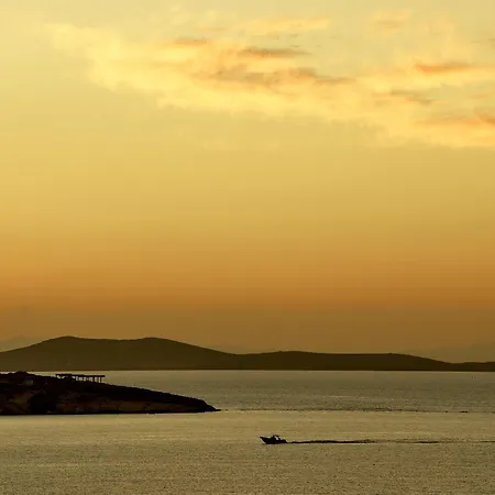 Adonis Mykonos Town